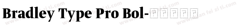 Bradley Type Pro Bol字体转换